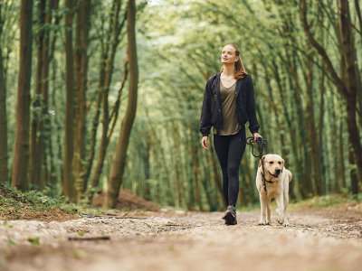 Kiedy wychodzić z psem na spacery w letnie upały?